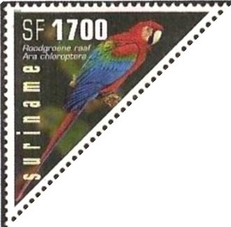 Crimson Macaw (Ara chloroptera)