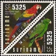 Scarlet Macaw (Ara macao), Mealy Amazon (Amazona farinosa)