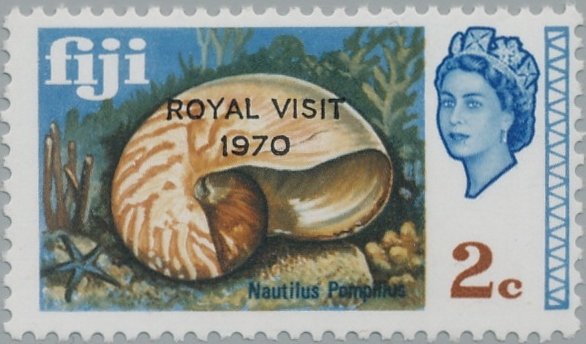 Chambered Nautilus (Nautilus pompilius) - Overprinted