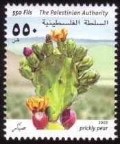 Prickly pear