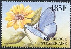 Stamp, Large Green-banded Blue (Danis danis), Central African Republic,  , Insects, Butterflies, Animals (Fauna)