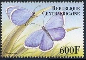 Silver-studded Blue (Plebejus argus)