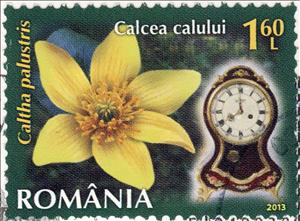 Stamp, Marsh Marigold (Caltha palustris), Romania,  , Flowers, Clocks, Plants (Flora)