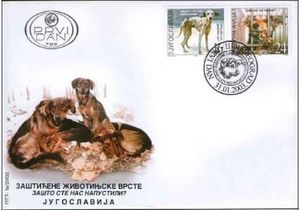 First Day Cover, Abandoned Dog (Canis lupus familiaris), Yugoslavia,  , Dogs, Animals (Fauna)