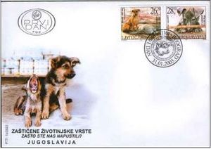 First Day Cover, Abandoned Dog (Canis lupus familiaris), Yugoslavia,  , Dogs, Animals (Fauna)