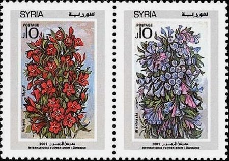 Intl. Flower Show, Damascus