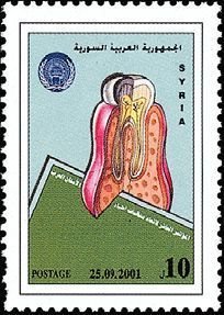 Stamp, Tooth Crosssection, Syria,  , Medical Science