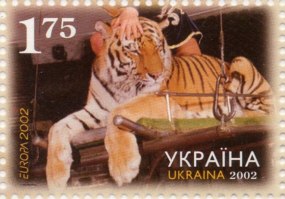 Tiger (Panthera tigris)