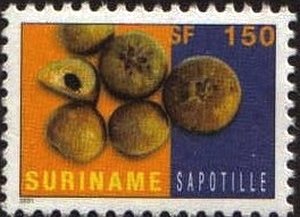Stamp, Sapodilla, Suriname,  , Fruits