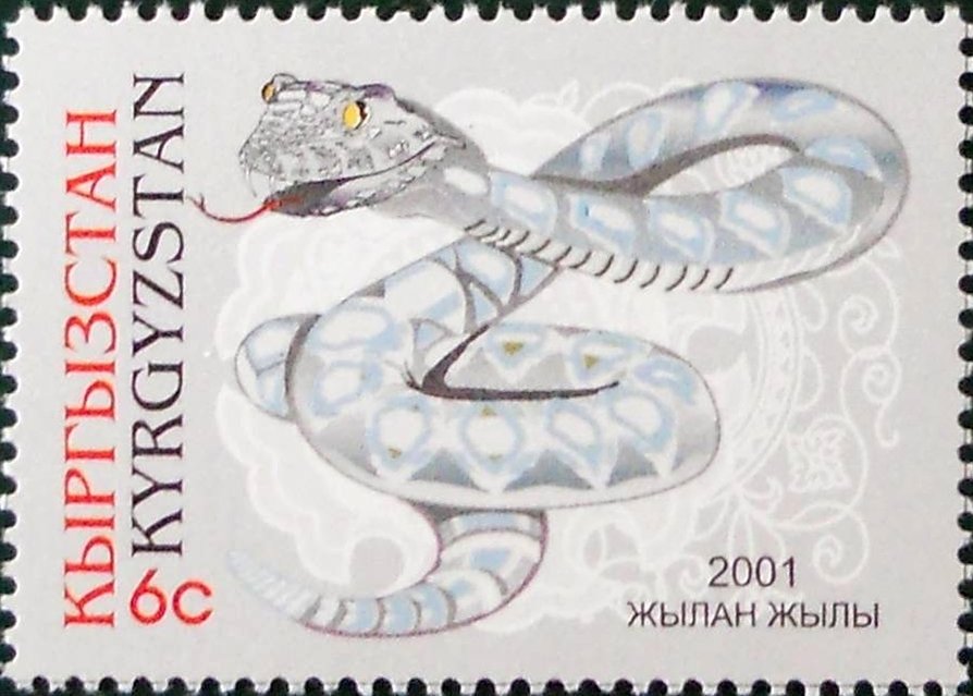 Year of the Snake
