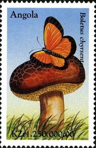 Stamp, Xerocomus chrysenteron, Angola,  , Mushrooms, Butterflies