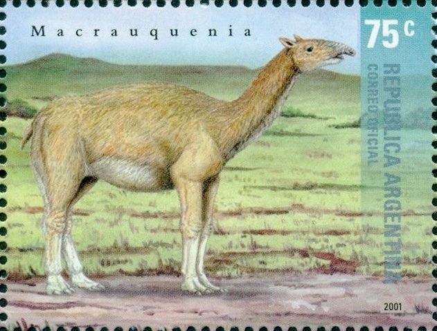 Doedicurus clavicaudatus