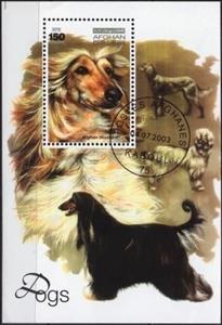 Souvenir Sheet, Afghan Hound (Canis lupus familiaris), Afghanistan,  , Dogs