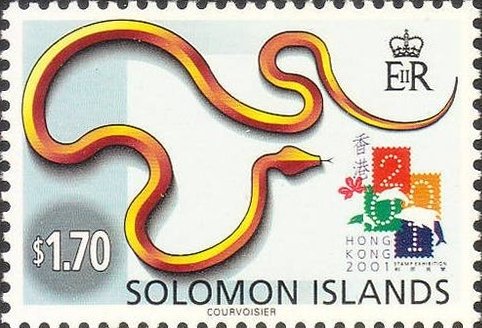 Year of the snake