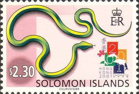 Year of the snake