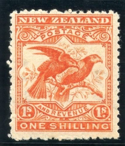 Kea (Nestor notabilis), Kaka (Nestor meridionalis)