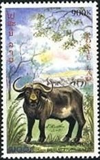 Stamp, Domestic Asian Water Buffalo (Bubalus bubalis), Laos,  , Mammals, Animals (Fauna)