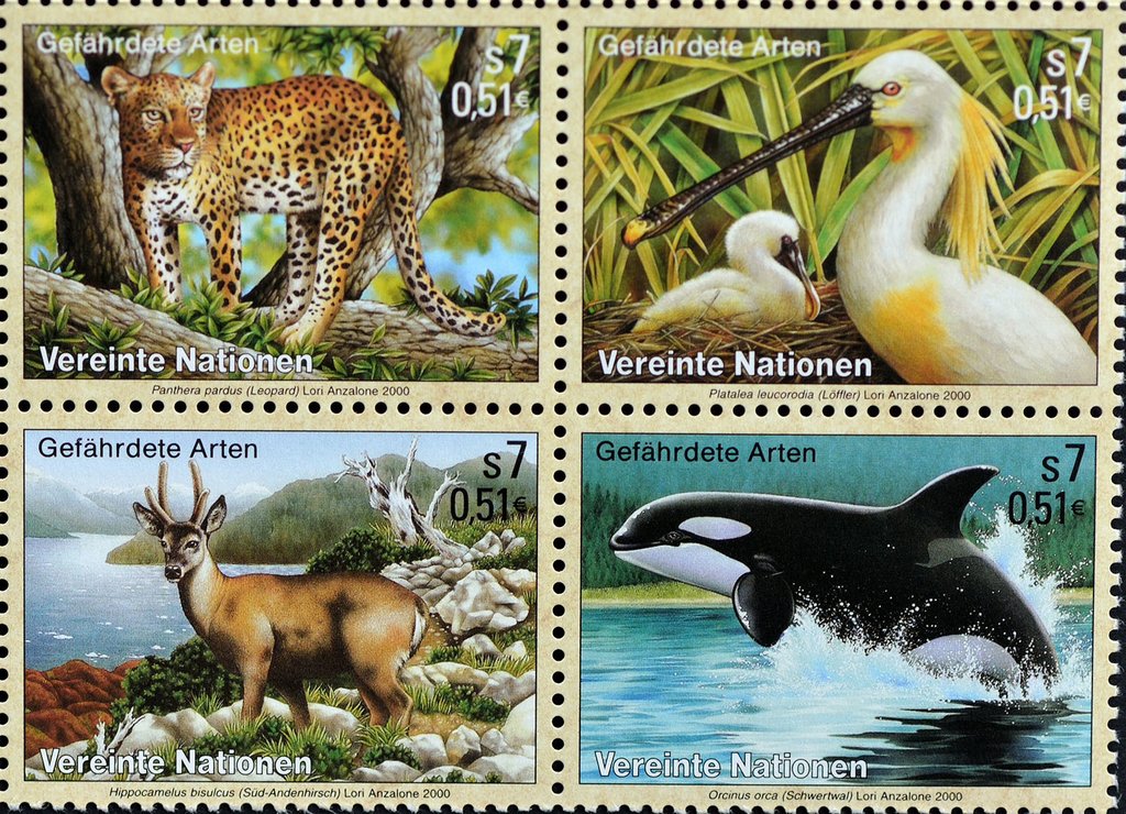 Endangered Species (VIII)