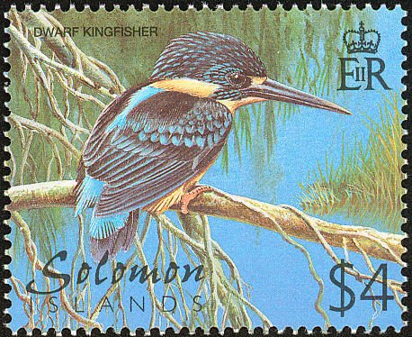 Variable Dwarf Kingfisher (Ceyx lepidus)
