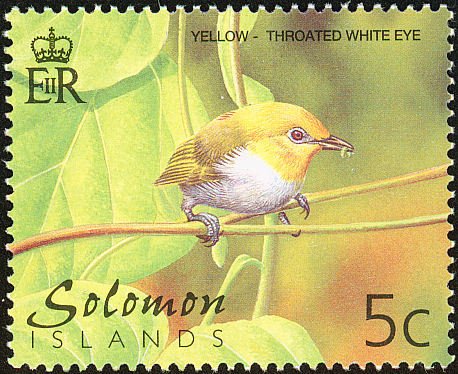 Yellow-throated White-eye (Zosterops metcalfii)
