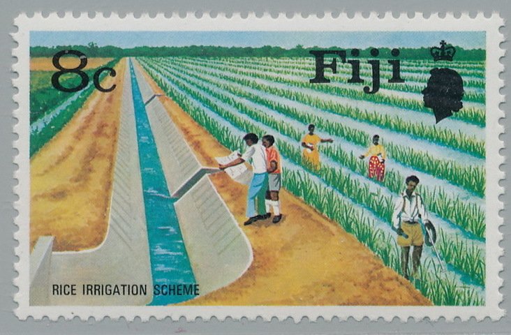 Irrigation of Rice Field