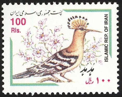 Eurasian Hoopoe (Upupa epops)