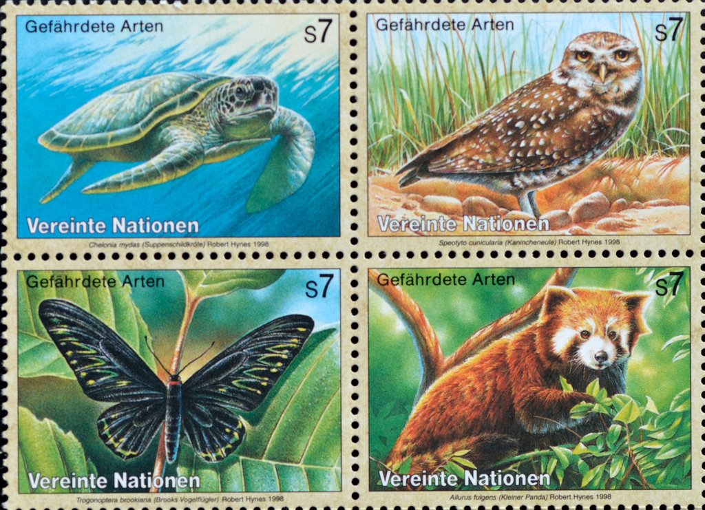 Endangered Species (VI)
