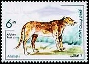 Stamp, Leopard (Panthera pardus), Afghanistan,  , Animals (Fauna)