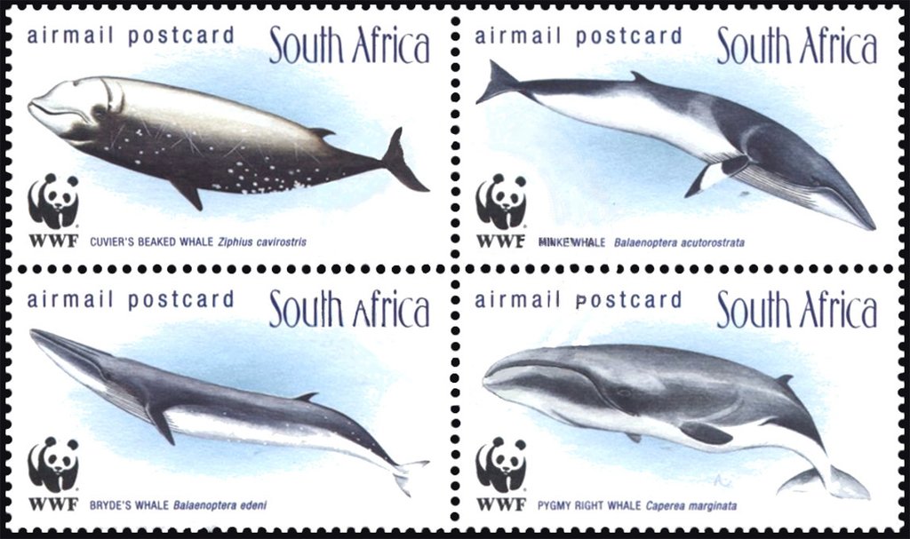 Whales - MiNo. 1177-80