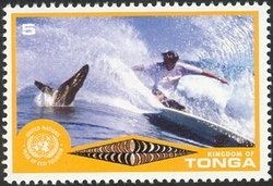 Humpback Whale (Megaptera novaeangliae), Surfer