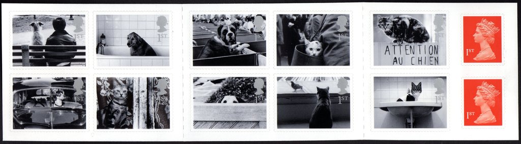 Cats and Dogs
