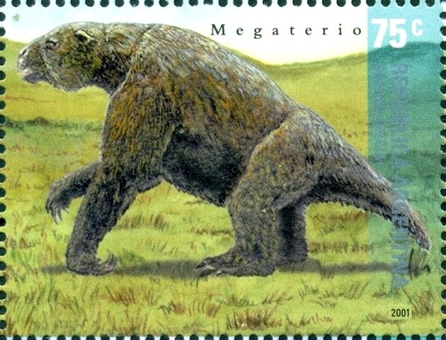 Megatherium americanum 