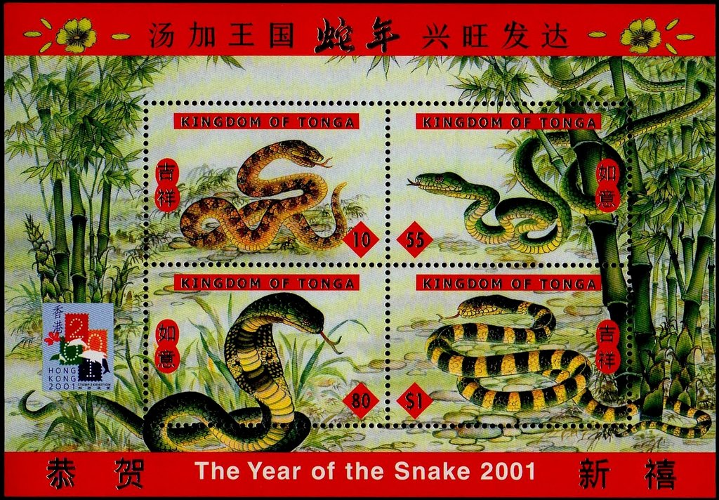 Year of the Snake