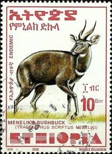 Stamp, Menelik's Bushbuck (Tragelaphus scriptus meneliki), Ethiopia,  