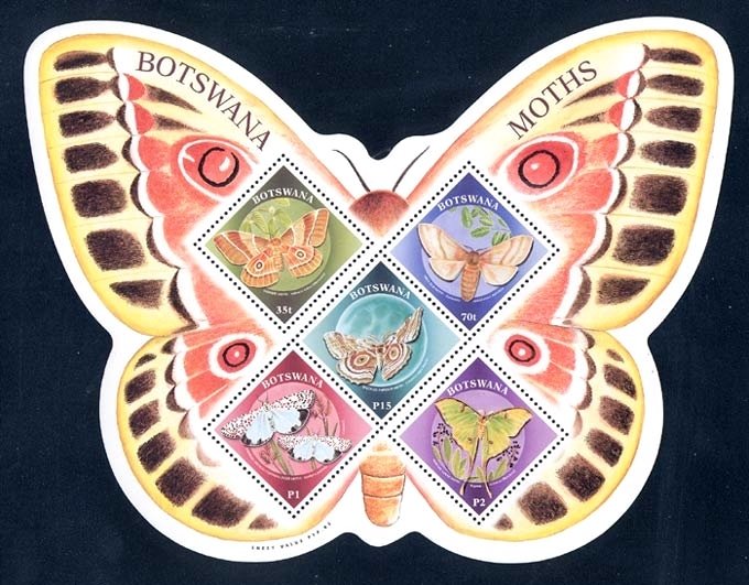 Butterflies