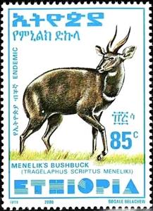 Stamp, Menelik's Bushbuck (Tragelaphus scriptus meneliki), Ethiopia,  , Animals (Fauna)