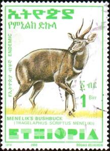 Stamp, Menelik's Bushbuck (Tragelaphus scriptus meneliki), Ethiopia,  