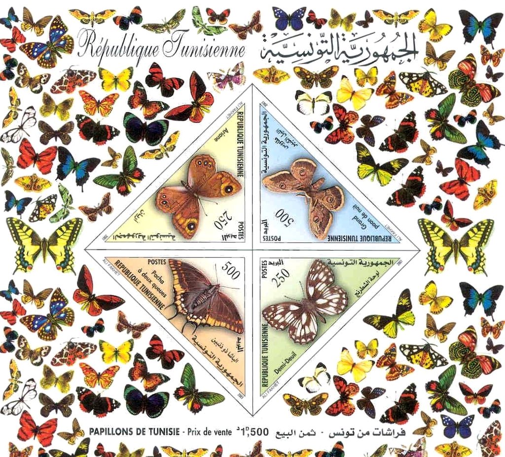 Butterflies of Tunisia