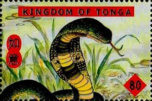 Stamp, Year of the Snake, Tonga,  , Chinese New Year, Snakes