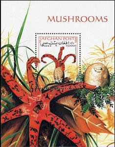 Souvenir Sheet, Anthurus archeri, Afghanistan,  , Mushrooms