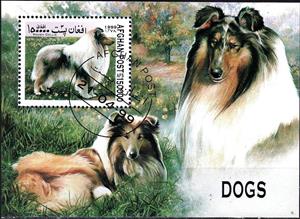 Souvenir Sheet, Rough Collie (Canis lupus familiaris), Afghanistan,  , Mammals, Dogs, Animals (Fauna)