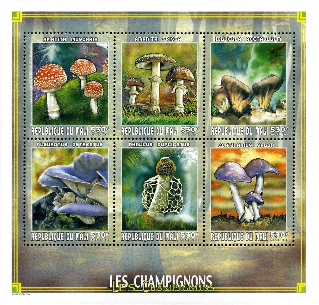 Mushrooms