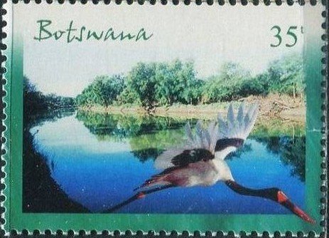 Bird over river