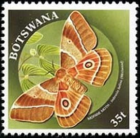 Stamp, Mopani (Gonimbrasia belina), Botswana,  , Insects, Butterflies