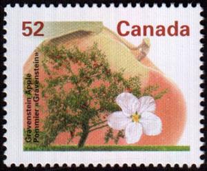 Stamp, Gravenstein Apple, Canada,  , Trees, Flowers, Fruits, Plants (Flora)