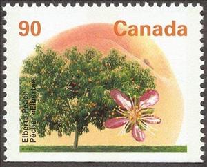 Stamp, Elberta Peach, Canada,  , Trees, Flowers, Fruits, Plants (Flora)