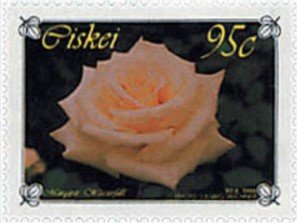 Roses: Margaret Wasserfall