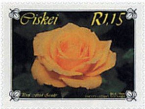 Roses: Prof. Fred Ziady