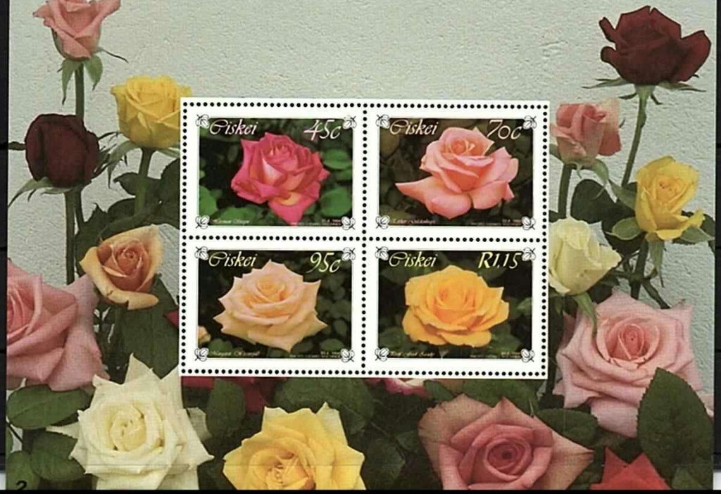 Roses