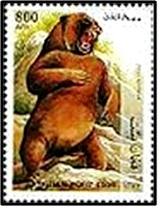 Ursus spelaeus
